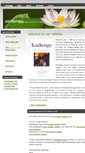 Mobile Screenshot of ecotherapyheals.com